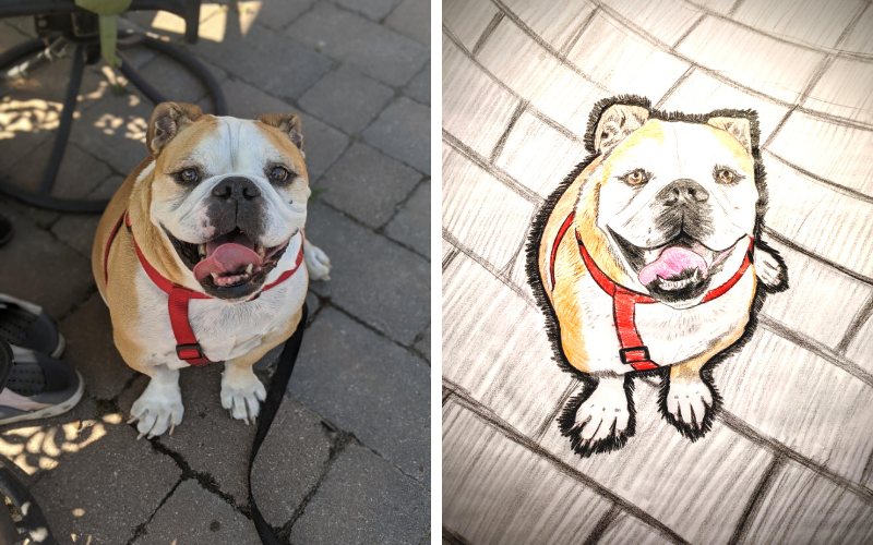 Cash Hearts of Hope Dog Rescue